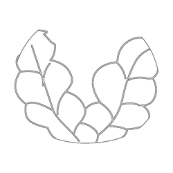 잎사귀문(79800)