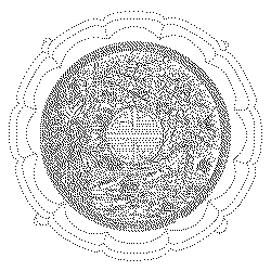 화형반(114681)