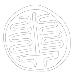 인장(61636)