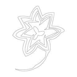 꽃문(35455)