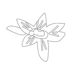 꽃문(75481)