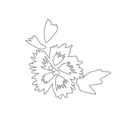 꽃문(75394)