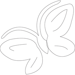 나비문(5815)