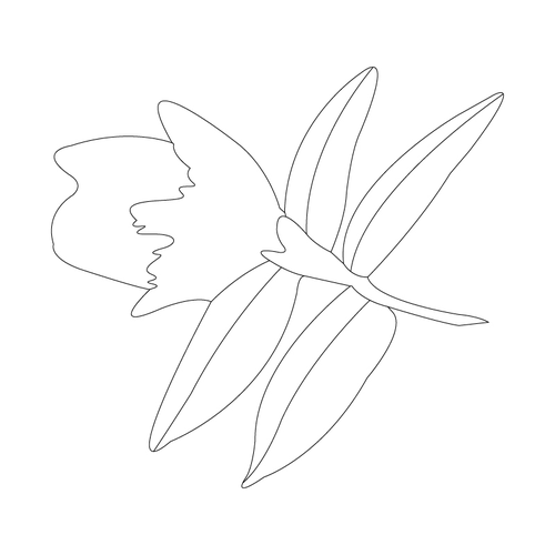 꽃문(81785)