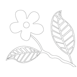 꽃문, 잎사귀문(38450)