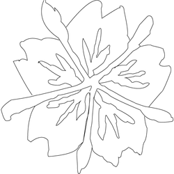매화문(5518)