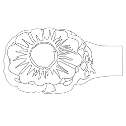 비녀(80202)