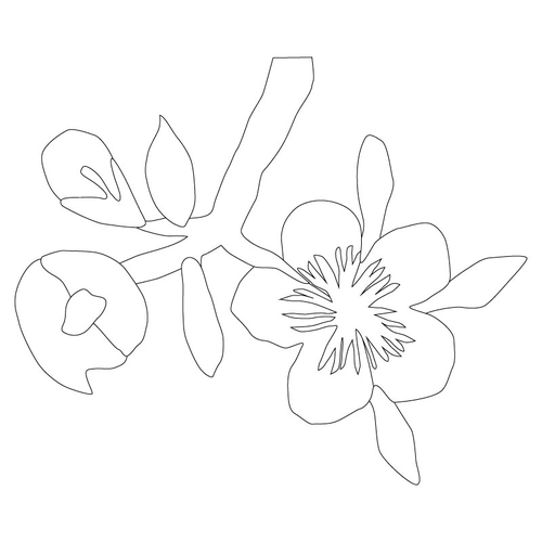 꽃문(80610)