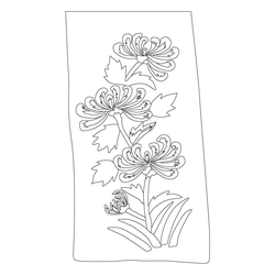 허리띠(76755)