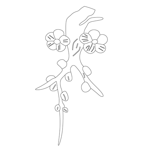매화문(70665)