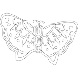 나비문(5456)