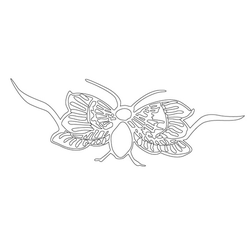 나비문(11779)