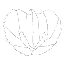 꽃문(80688)
