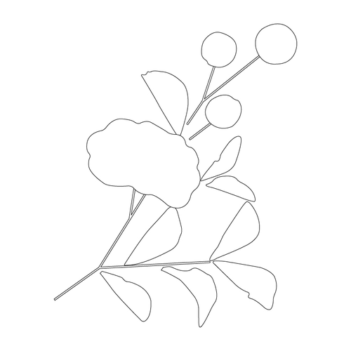 꽃문(80891)