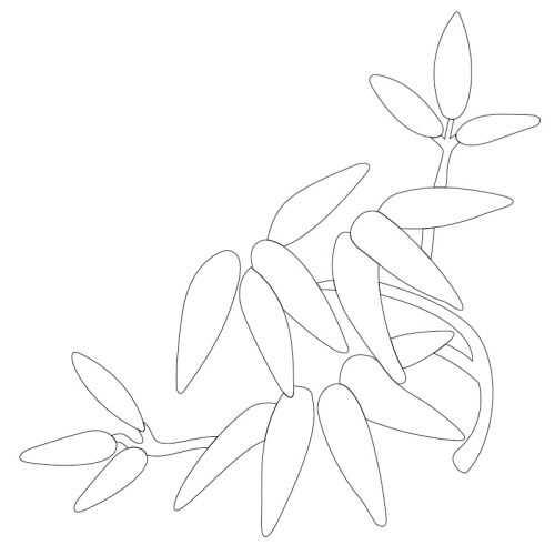 풀꽃문(28165)