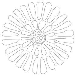 국화문(10274)