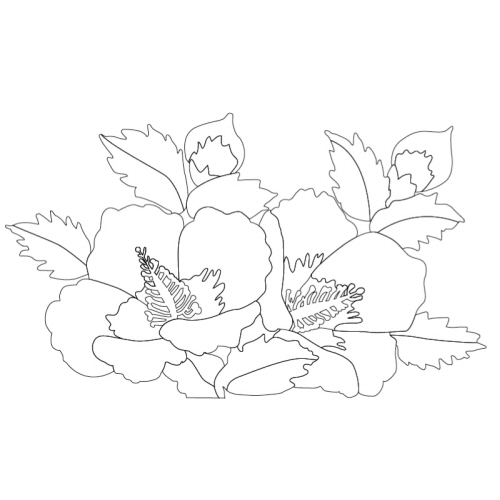 무궁화꽃문(28217)