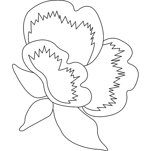 모란문(76063)