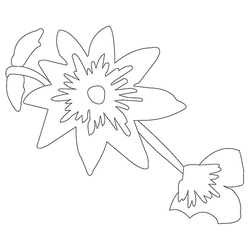 꽃문(76454)
