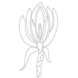 연꽃문(14518)