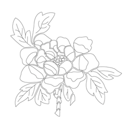 모란문,잎사귀문(30533)