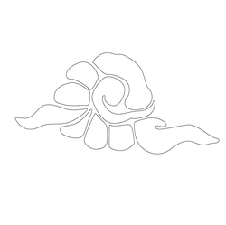 구름문(65744)