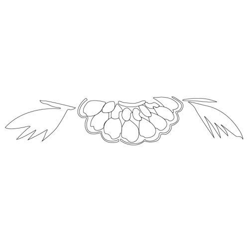 꽃문(27931)