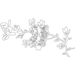 국화문(33061)