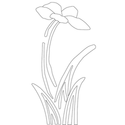 난초문(11829)