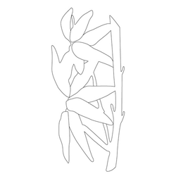 잎사귀문(14820)