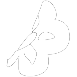 꽃문(70253)