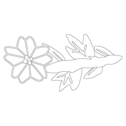꽃문(80663)
