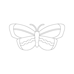 나비문(6998)