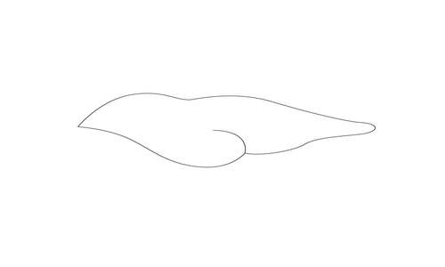 구름문(69086)