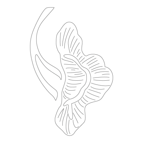 연꽃문(31649)