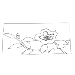 퇴침(76004)