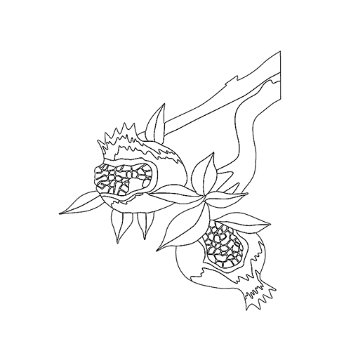 기타(76406)