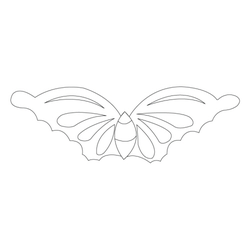 나비문(32884)