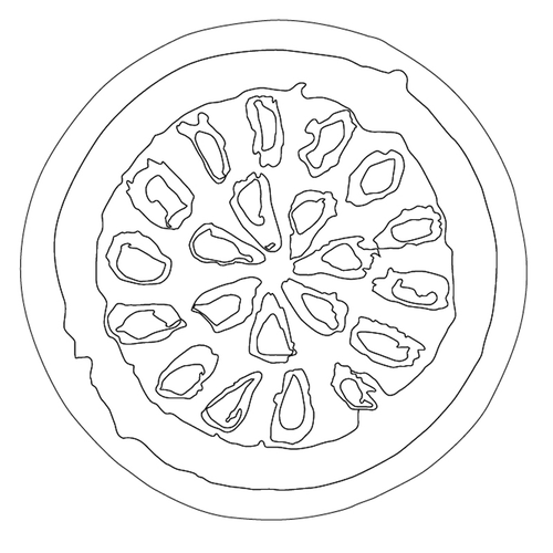 백자떡살(79328)