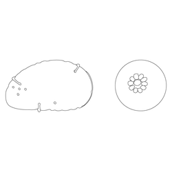관자(80489)