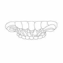 창경궁 통명전 연지 난간(111499)