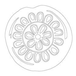 연꽃문 수막새(57855)