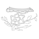 백자청화모란문항아리(16546)