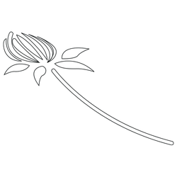 연꽃문(82119)