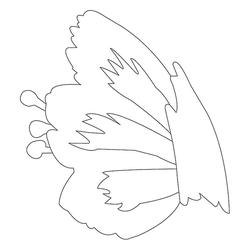 꽃문(76595)