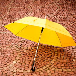 우산(48)