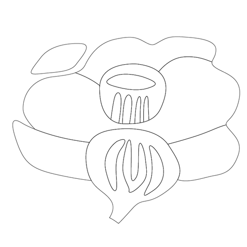 꽃문(81334)