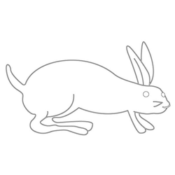토끼문(20402)