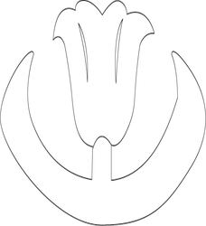 연꽃문(66010)