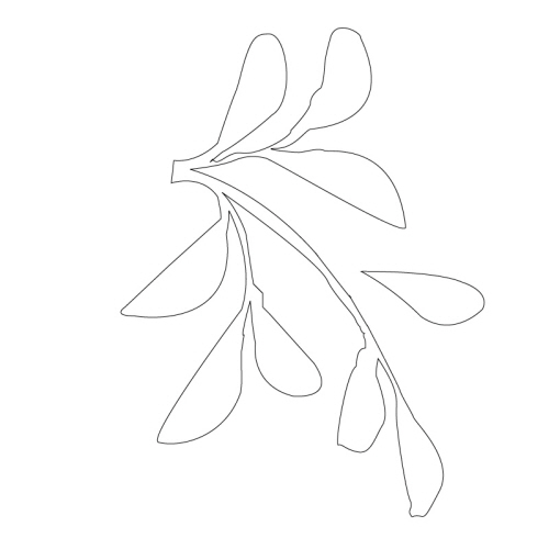 잎사귀문(34086)